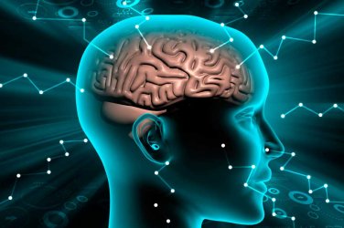 Inteligência emocional: saiba como desenvolver e tenha uma vida equilibrada